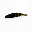 Lake Fork Trophy Leurres Live Magic Shad V-Tail
