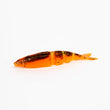 Lake Fork Trophy Leurres Live Magic Shad V-Tail
