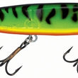 Joe Bucher Shallow Raider