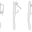 Core Tackle The Weedless Hover Rig