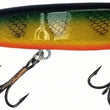Joe Bucher Shallow Raider