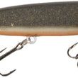 Joe Bucher Shallow Raider