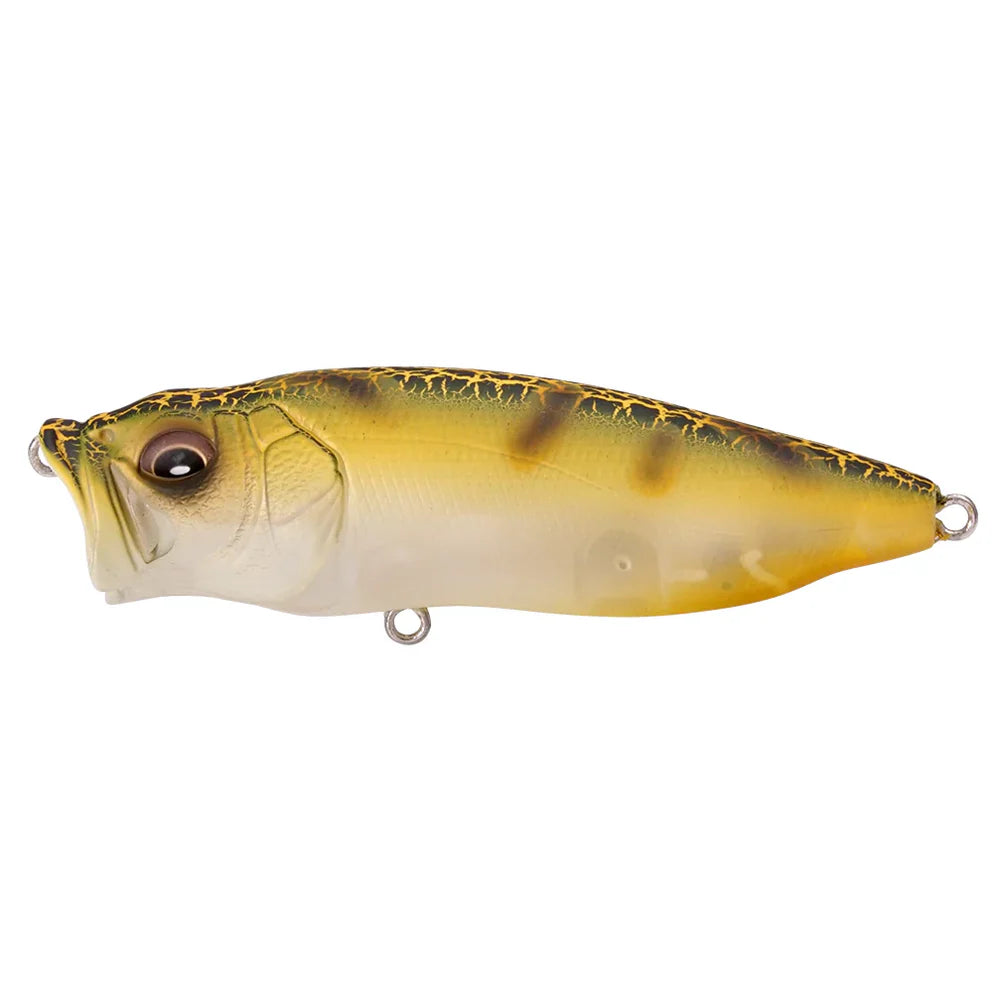 Megabass Popmax Special Run Colors (Limited) – Proadvantage.ca