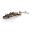 Savage Gear 3D Burbot Ribbon Tail