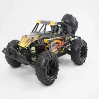 RC-Pro Desert Rush 1/18 Scale 4X4 Brushless Buggy