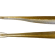 Duo Realis Bay RUF BR Fish (3 Sizes)