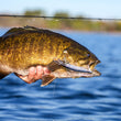Rapala PRECISION XTREME DEEP MAVRIK 110