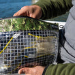 SPRO Mesh Bait Pouch