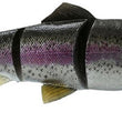 Savage Gear Pro Series 4D Line Thru Trout - 10"