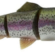 Savage Gear Pro Series 4D Line Thru Trout - 10"
