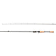 Canne Casting Shimano Intenza A (modèle 2023)