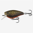 13 Fishing Warthog