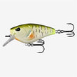 13 Fishing Warthog