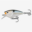 13 Fishing Warthog