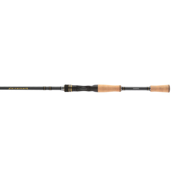 Canne Casting Shimano Intenza A (modèle 2023)