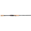 Caña giratoria Daiwa Steez