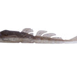 Invasor sigiloso de la Zona X