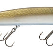 Joe Bucher Shallow Raider
