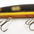 Joe Bucher Shallow Raider