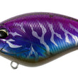Biela Duo Realis Apex 66 Cuadrado