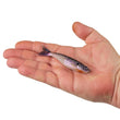 Berkley PowerBait PowerStinger