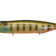 Sonajero Megabass Dog-X Diamante