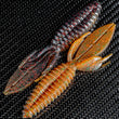 Reaction Innovations Double Large Castor