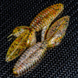 Reaction Innovations Smallie Castor
