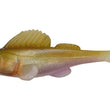 Dormir oscuro Megabass
