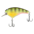 Shimano Macbeth Gros Crankbait