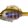 Gill dormeuse Megabass