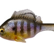Gill dormeuse Megabass