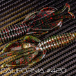 Réaction Innovations Kinky Castor