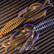 Réaction Innovations Kinky Castor