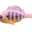 Gill dormeuse Megabass