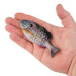 Berkley PowerBait Pro Conception Mike Iaconelli Gilly