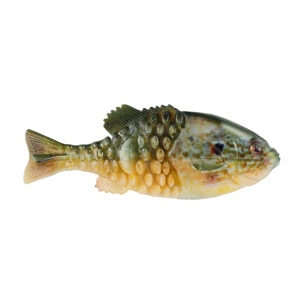 Berkley PowerBait Pro Conception Mike Iaconelli Gilly