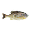 Berkley PowerBait Pro Conception Mike Iaconelli Gilly