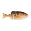 Berkley PowerBait Pro Conception Mike Iaconelli Gilly