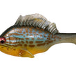 Gill dormeuse Megabass