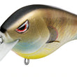 SPRO Fat Papa 55 SB