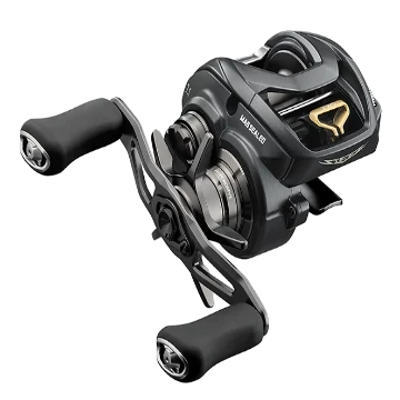 Carrete de fundición Daiwa Steez A 100