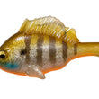 Gill dormeuse Megabass