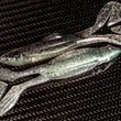Reaction Innovations Trixie Requin