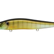 Megabass Vision Oneten