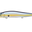Megabass Vision Oneten
