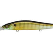 Megabass Vision Oneten +2