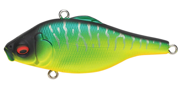 Megabass Vibration-X Smatra Boneknocker