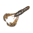 Golpe Rey Rage Craw