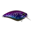 Biela Duo Realis Apex 66 Cuadrado